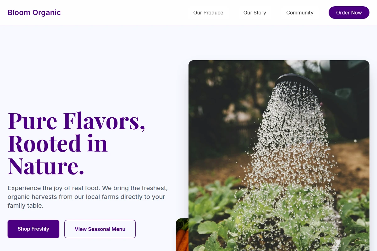 Bloom Organic Food